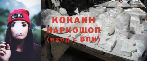 сатива Магадан